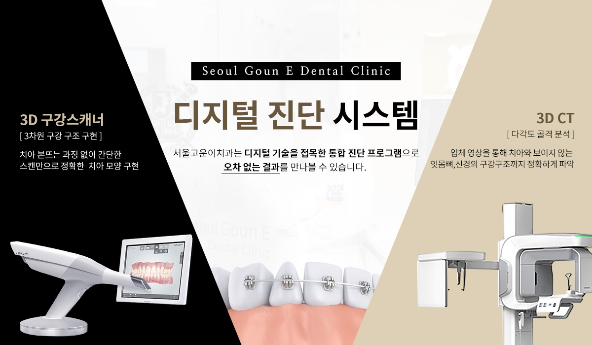 디지털 진단 시스템