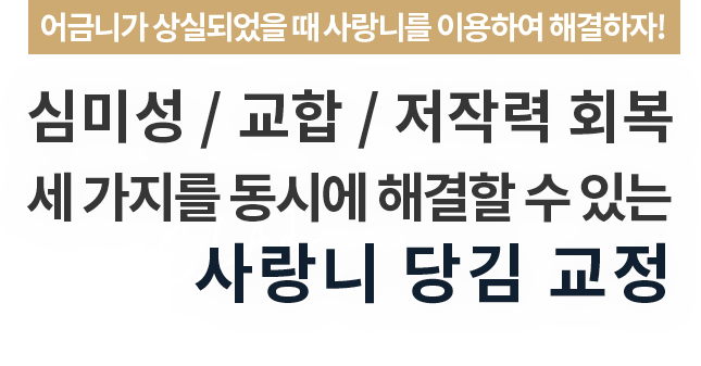 텍스트