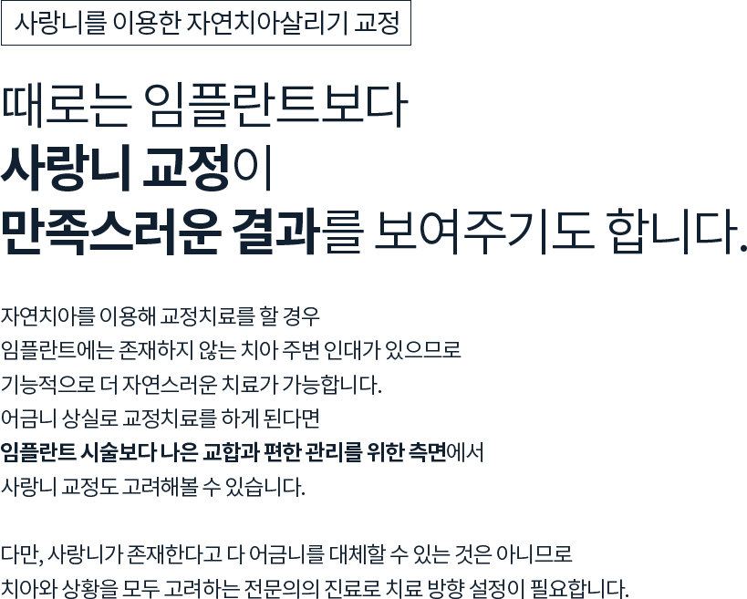 텍스트