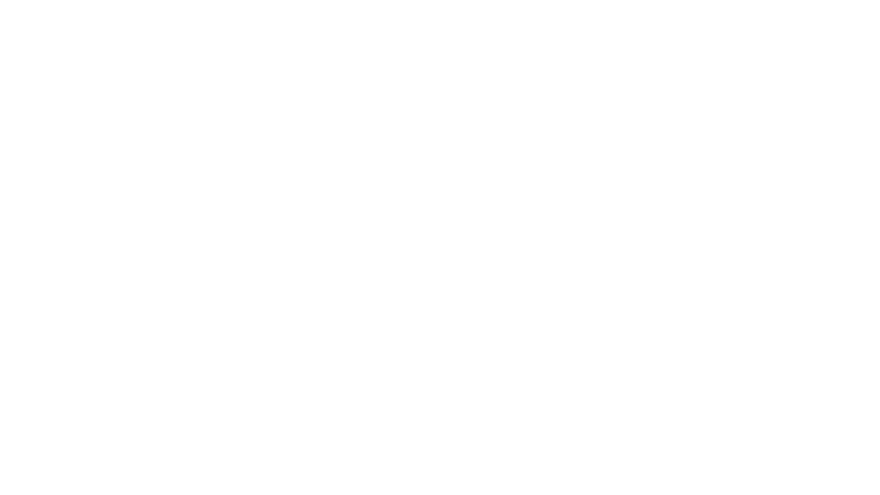 텍스트