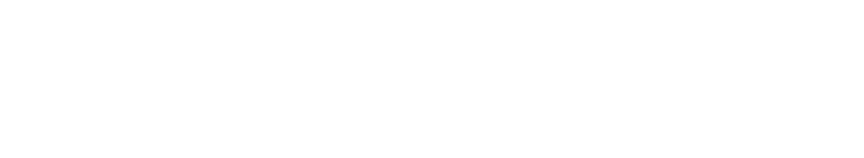 텍스트