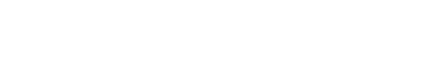 텍스트