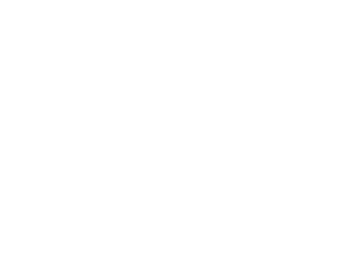 텍스트