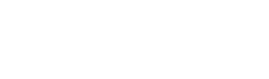 텍스트